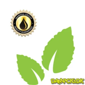 Inawera Mint Flavor - 10ml