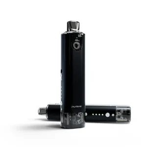 SXmini PUMAX  Kit - 2ml