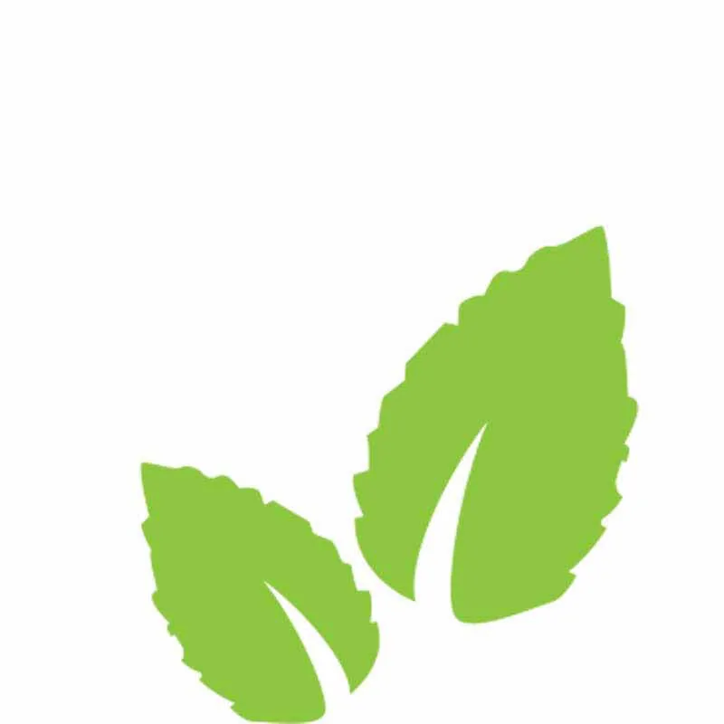 Inawera Mint Flavor - 100ml - billede 2