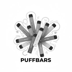 Engangs E-Cigaretter